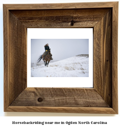 horseback riding near me in Ogden, North Carolina